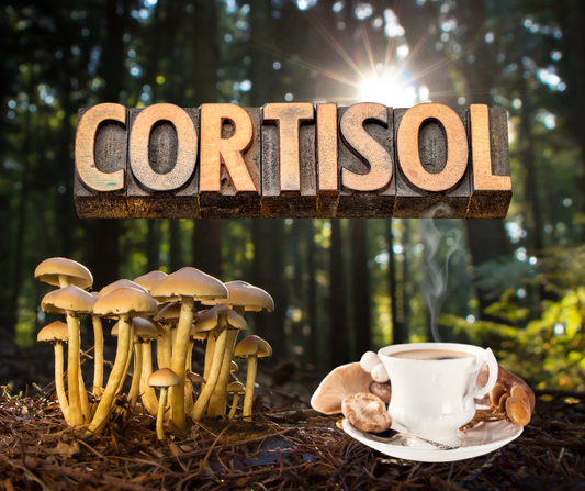 STIR. Crazy: Mushrooms, Coffee, and Lowered Cortisol