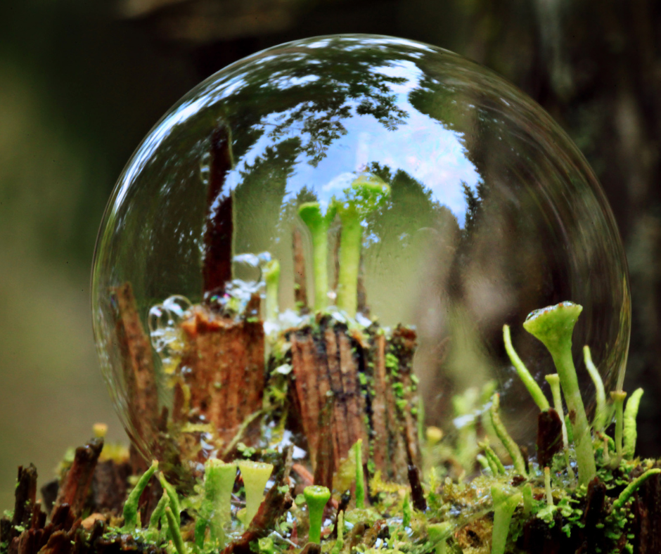 π Sip with Purpose: Mushroom Coffee and the Planet πβ
