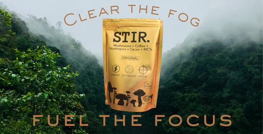 🧠☕ Bye Bye Brain Fog: Why STIR. Mushroom Coffee Is the Focus Boost You Didn’t Know You Needed